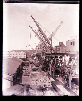 Durban, 1934. Cranes at Point. Durban Harbour.