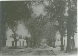 Stellenbosch, circa 1900. Church Street.