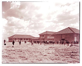 Springs, 1940. English medium high school.