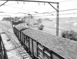 Johannesburg, 1949. Coal train at Angelo.