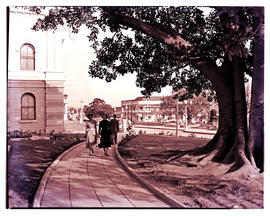 "Uitenhage, 1954. Town Hall."