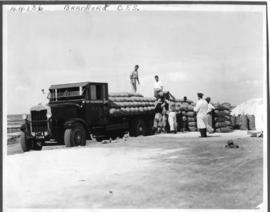 Brandfort district, circa 1938. Thornycroft three-axle truck No 851 loading bags of salt at Saltp...