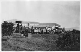 Elandshoek narrow gauge forest railway, circa 1926. Train hauled by SAR Class NG1 No 40 with larg...