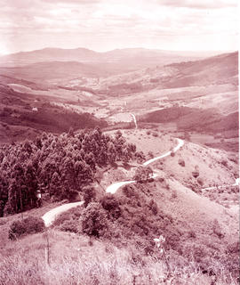 Tzaneen district, 1951. Magoebaskloof, view into valley.