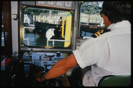 Port Elizabeth, March 1986. Tugmaster at the controls. [T Robberts]