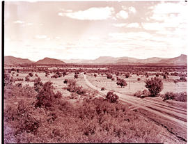 Tzaneen district, 1961. Letaba region.