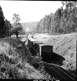 Tzaneen district, 1963. Goods train near Duiwelskloof.