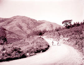Tzaneen district, 1949. Country road in Magoebaskloof.