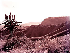 "Pietermaritzburg district, 1942. Valley of a Thousand Hills."