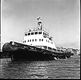 Port Elizabeth, 1970. Tug 'Willem Heckroodt' in harbour.