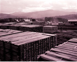 Tzaneen district, 1963. Sawn boards at the timber mill at Politsi.