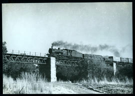 SAR Class 1 or 1A with goods train on bridge.