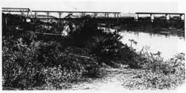 Humansdorp district, circa 1911. Gamtoos River bridge: General view from upstream no northern ban...