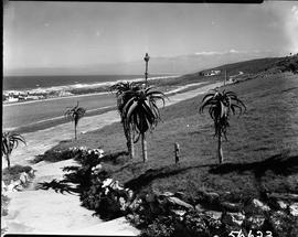Port Elizabeth, 1950. Seaview.