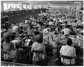Port Elizabeth, 1950. Edworks shoe factory.
