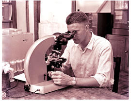 "Nelspruit district, 1960. Scientists at citrus research station."