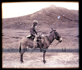 "Swaziland, 1933. Elderly Swazi on a donkey."