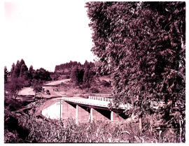 Tzaneen district, 1953. Road and rail bridges.