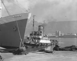 Cape Town, 1963. Tug 'TH Watermeyer' guiding mail ship in Table Bay Harbour.