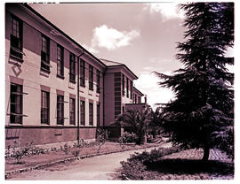 Springs, 1954. Convent.