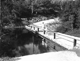 Port Elizabeth, 1965. Settler's Park