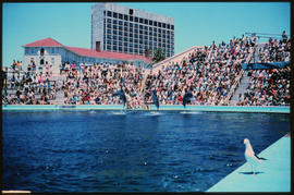 Port Elizabeth, December 1970. Dolphin show at Oceanarium. [D Lee / S Mathyssen]