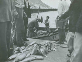 Cape Town, 1940. Kalk Bay fishing jetty.