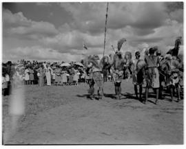 Vryheid, 24 March 1947. Traditionally dressed group.