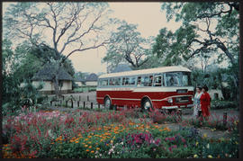 SAR Leyland Royal Tiger tour bus in rest camp. SAR Tourist Service. SAS Toeristediens.