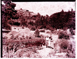 "Paarl district, 1956. Wildflower reserve."