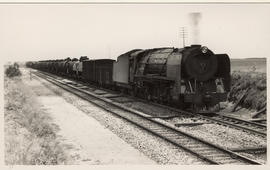 Delmas district, 1956. SAR Class 15F with goods train.