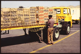 Driver checking load of dried fruit on SAR Leyland truck No B17557.