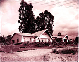 Tzaneen, 1963. Private residence.