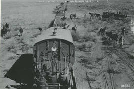 Upington district, 1914/15. Looking back onto the construction trains from the eading illuminatio...