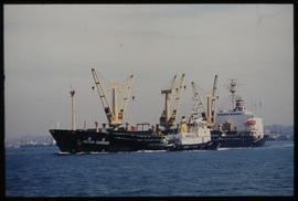 Durban, 1984. SAR tug with 'Mutan Career' in Durban Harbour.