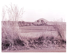 "Bethlehem district, 1967. Cultivated fields."