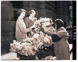 Cape Town, 1950. Flower seller.