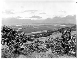 "Prince Alfred Hamlet district, 1969. View from Gydo Pass."
