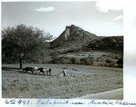 "Nelspruit district, 1954. Native reserve."
