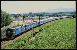 Paarl, 1986. Three SAR Class 5E Srs 2's on new Blue Train No 2221down.
