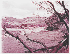 "Waterval-Onder, 1943. Elands River valley."