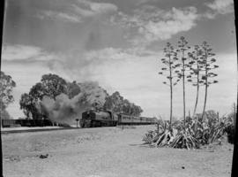 Mafeking, 1946. SAR Class GF with train leaving.