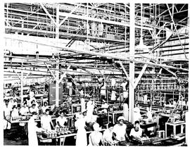 "Paarl, 1956. Jam factory."