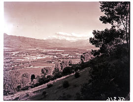Paarl, 1950. Paarl valley.