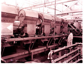 "Nelspruit, 1960. Citrus juice extraction at H.L Hall & Sons."