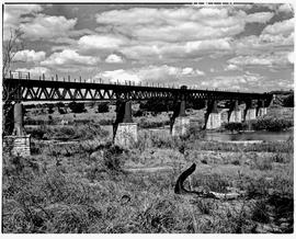 Kruger National Park, 1945. Railway bridge over the Crocodile River on Selati-Komatipoort line.