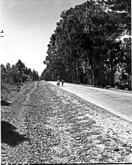 Port Elizabeth district, 1950. Kraggakamma Road.