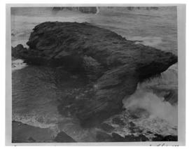 Circa 1901. Large rock in ocean with hole through the centre. (Durban Harbour album of CBP Lewis)