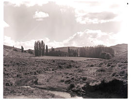 "Aliwal North district, 1974. Small river with farmstead in the distance."