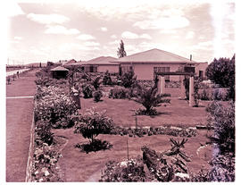 Springs, 1954. Residential area.